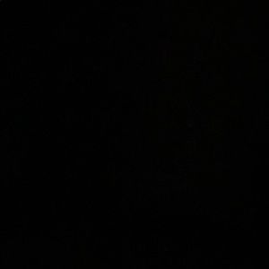 Meet your Posher, Larrie’el